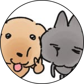강아고영 나중개 작가 인터뷰로 이동
